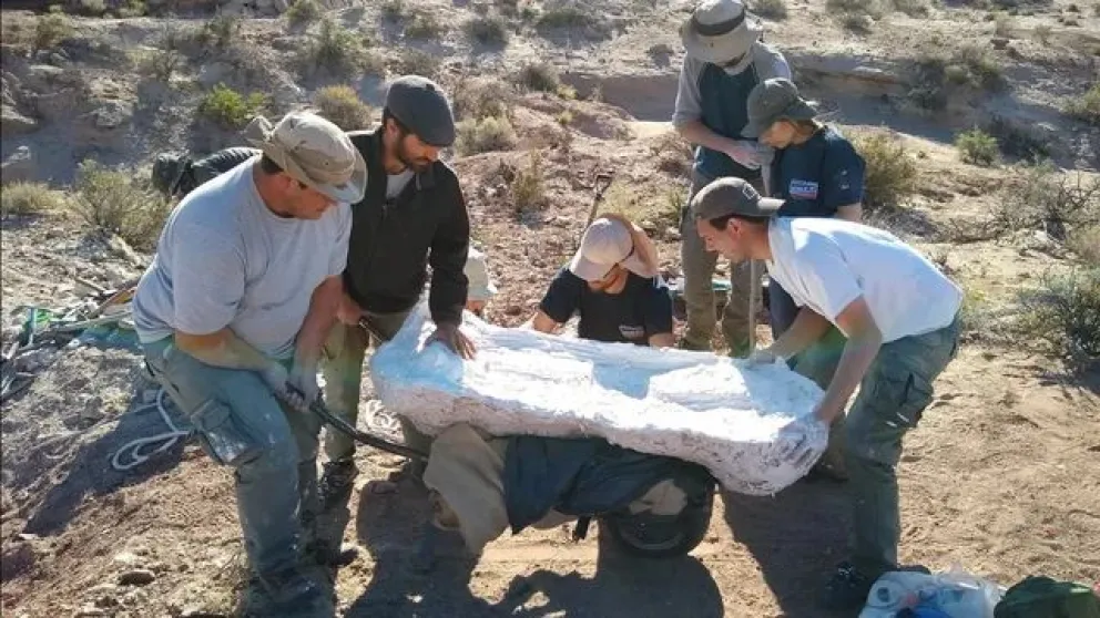 Descubren en Río Negro un dinosaurio herbívoro que vivió hace 90 millones de años