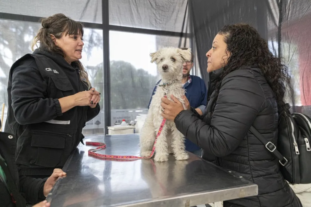 Se vacunaron 150 mascotas en la Jornada Ambiental por el Día del Animal