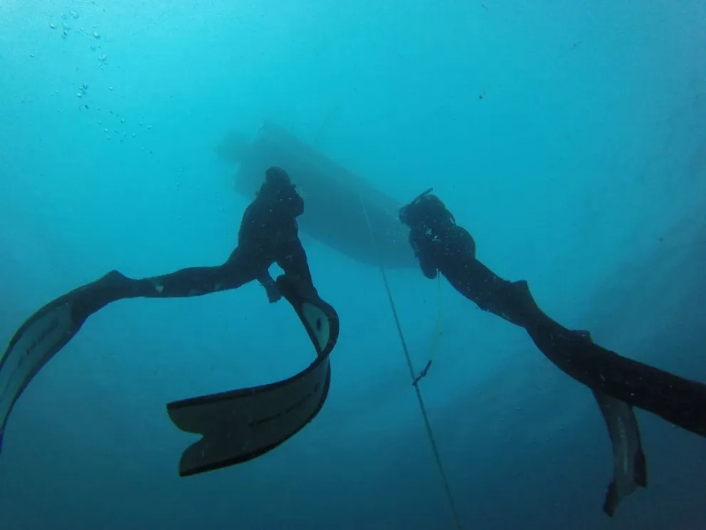 Apnea en Camarones: la atractiva propuesta que permite conocer los tesoros profundos de la Patagonia