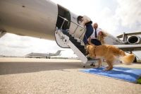 Cómo es la aerolínea de vuelos vip para perros que empieza a operar en mayo en EE.UU.