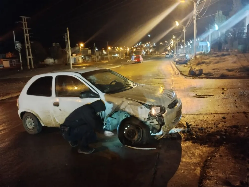 Circulaba por Huergo y Pieragnoli y chocó contra una palma