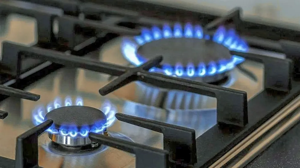 Santa Cruz presentó un amparo colectivo en contra de los aumentos de gas: señalan que es ilegítimo