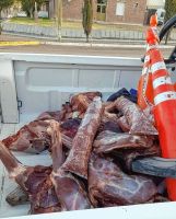 En Camarones secuestraron carne de guanaco que ofrecían a la venta por redes sociales