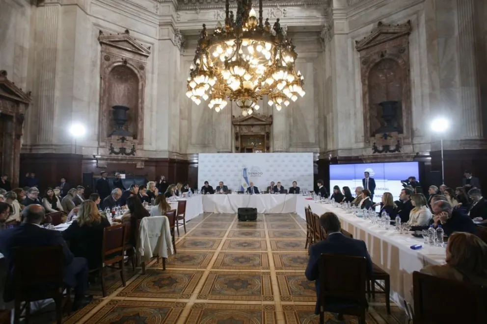 Ley de Bases en el Senado: ronda final de expositores y el dictamen sigue siendo una incógnita