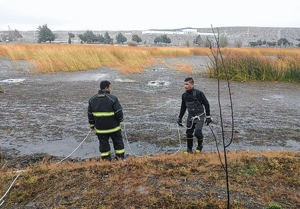 Bomberos salvan de morir congelado  a un perrito en laguna de Perito Moreno