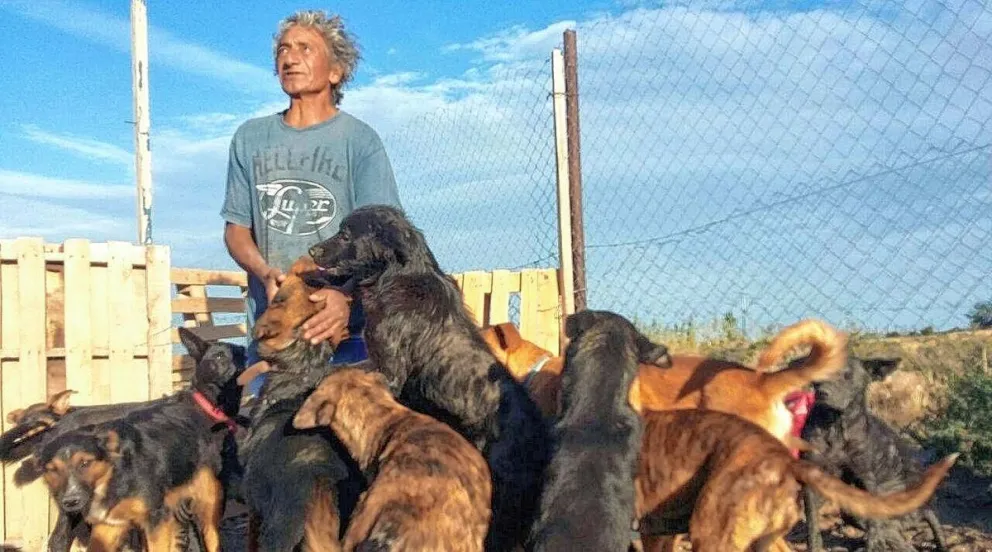 Iniciaron una nueva colecta para ayudar a Oscar y sus perros rescatados