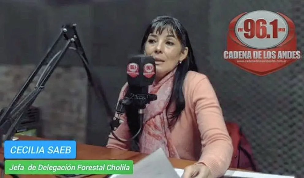 La delegada forestal de Cholila denunció a funcionarios de Bosques por “violencia laboral”