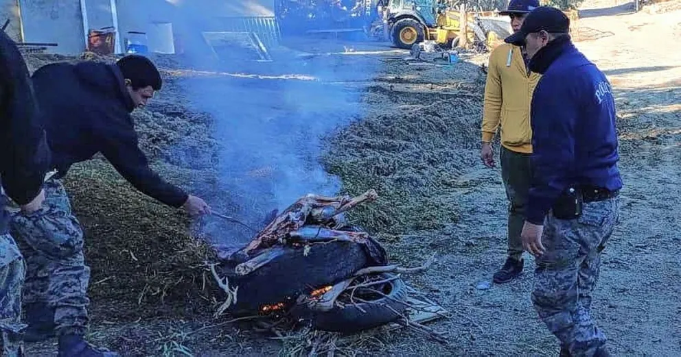 Llevaban piezas de guanacos despostados en el baúl del auto que terminaron incineradas por la Policía de Seguridad Rural