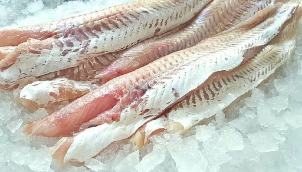 La industria pesquera reclama la suspensión de las retenciones