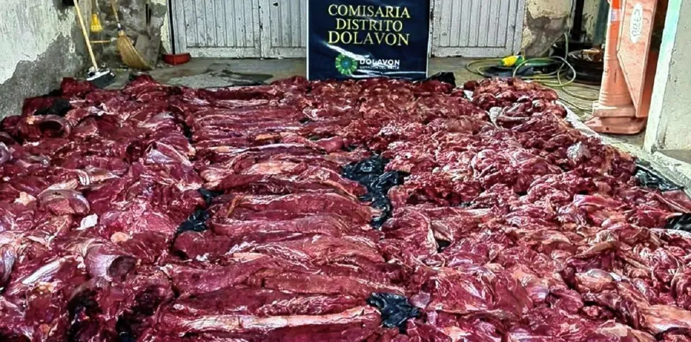 Verdadera “carnicería en tránsito”