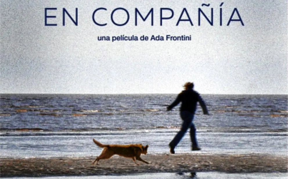 El Club de Cine del Rincón Cultural empieza un nuevo ciclo con temática animal y fines solidarios