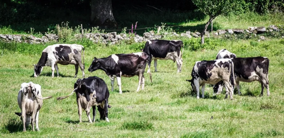 Desde Nación desmintieron versiones y se asegura la barrera sanitaria en Patagonia