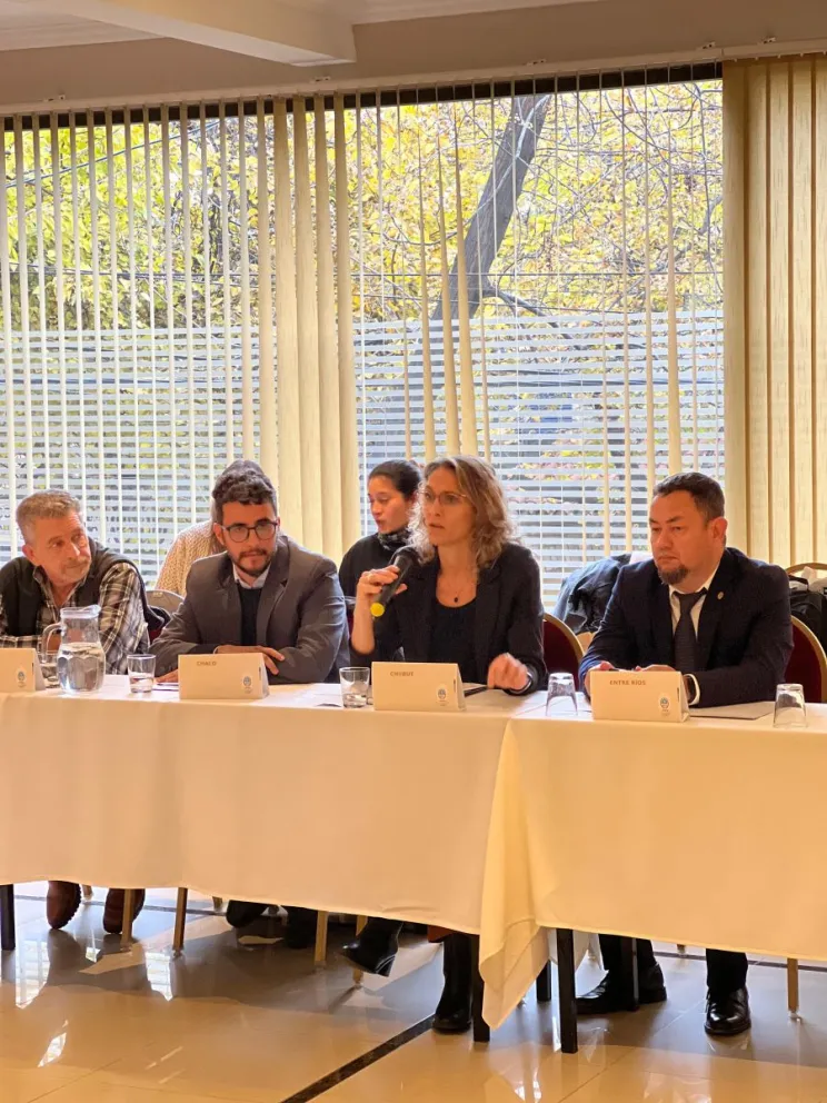 Chubut participó de plenario nacional centrado en la fiscalización de las actividades comerciales