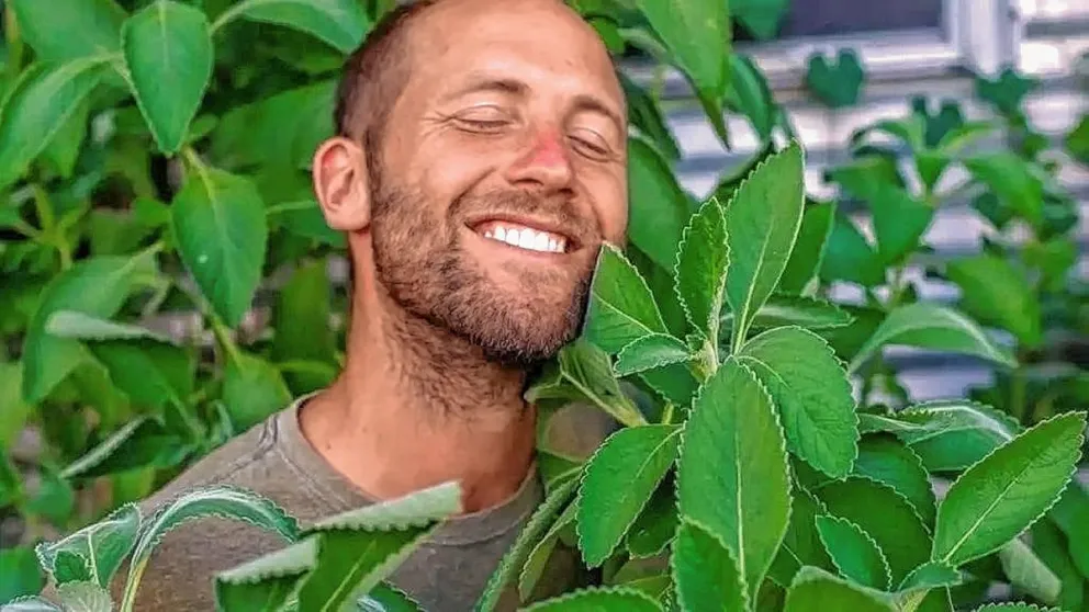Analizan bondades de un sustituto vegetal para el costoso papel higiénico