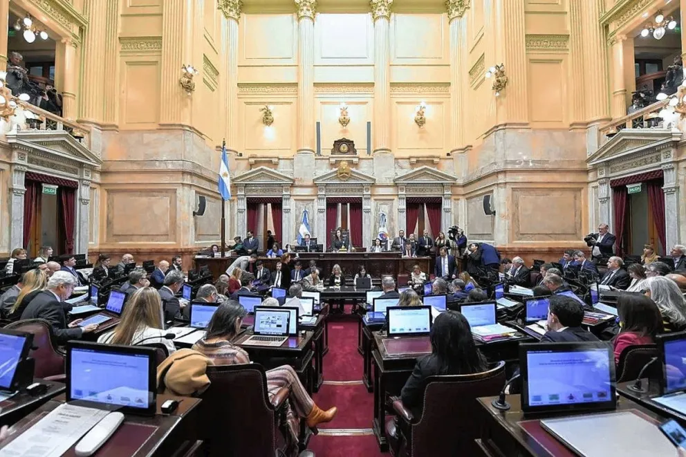 Ley Bases: con cambios sustanciales se debate en el Senado