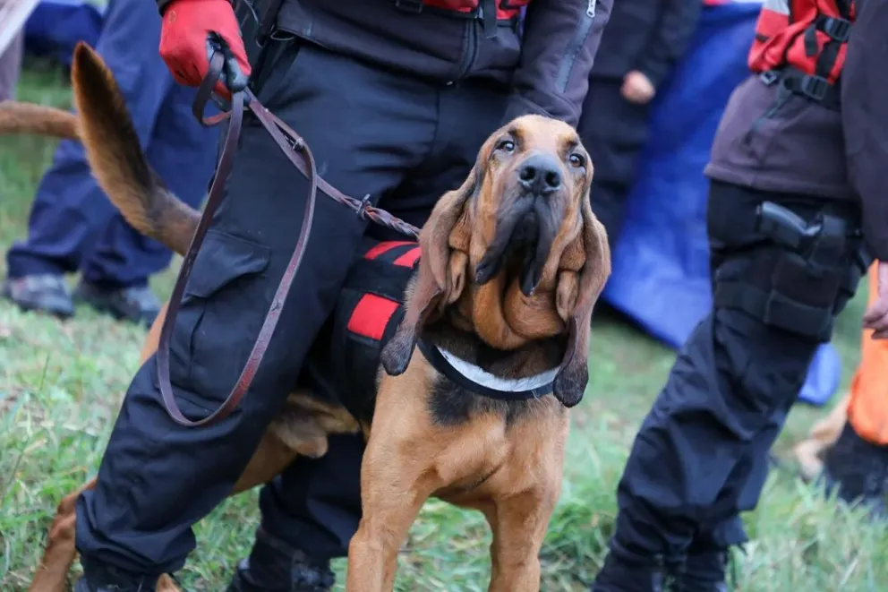 Búsqueda de Loan en Corrientes: cómo será el operativo durante la noche