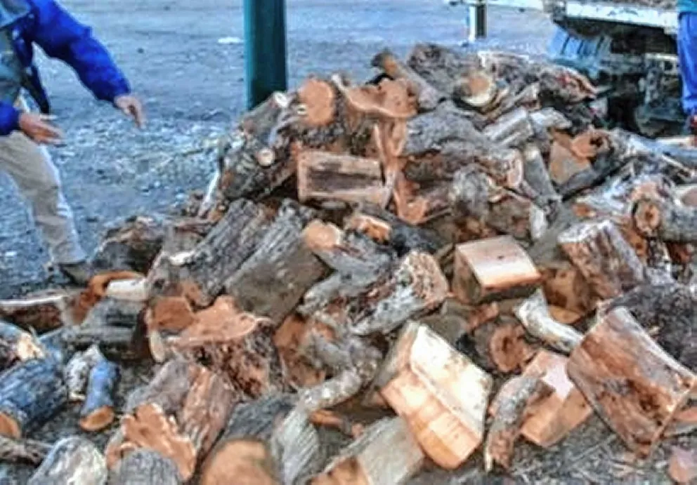Ante el temporal de lluvia, nieve y las bajas temperaturas adelantaron la entrega de leña