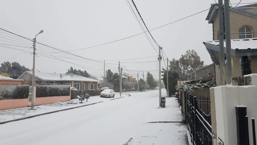 Informe oficial de la Municipalidad por las nevadas