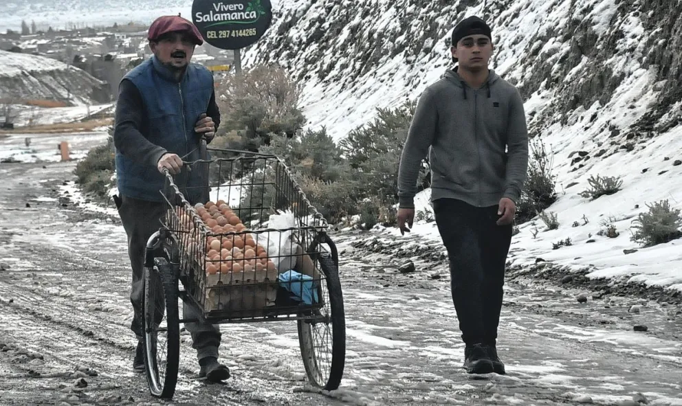 “Huevos fresquitos”