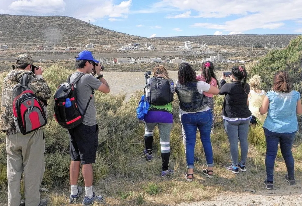 El Club de Observadores de Aves de Comodoro continúa con sus actividades en la ciudad