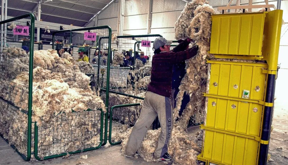 El proceso de la lana será el principal atractivo de Chubut en la 136° Expo Rural Ganadera de la República Argentina