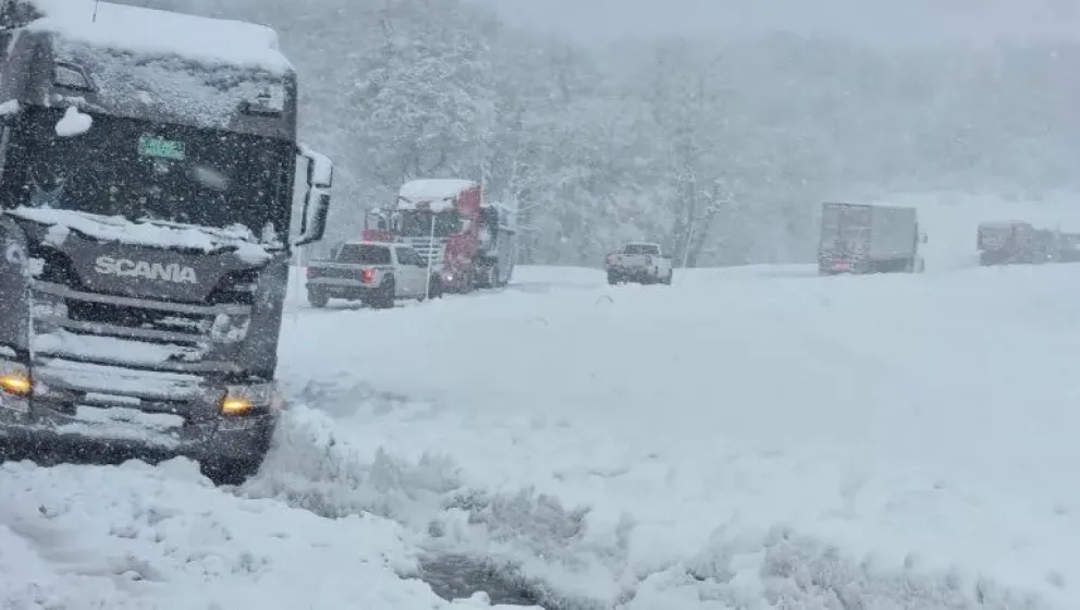 Alerta por la distribución y eventuales faltantes de alimentos y medicamentos