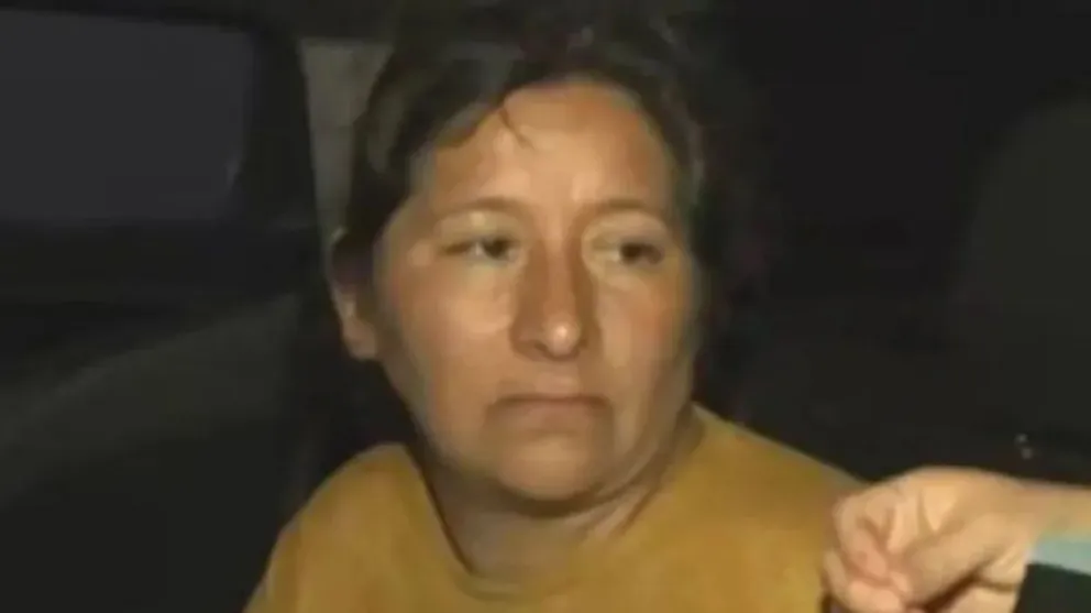 Desaparición de Loan: los abogados de Ramírez y Millapi pidieron que Laudelina declare en la Justicia Federal