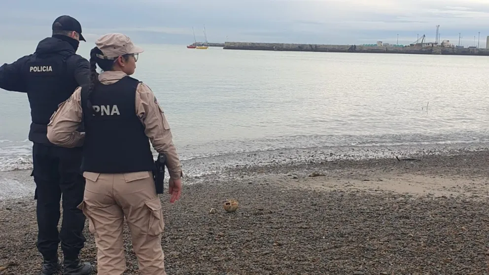 Encontraron un cráneo humano en la costanera