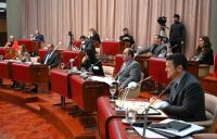 La Legislatura del Chubut aprobó el pliego de Raidan para el STJ y la Emergencia Comercial en la provincia