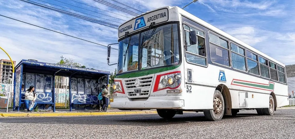 Ante la suba del boleto de transporte más gente no tiene para pagar y aumentan las agresiones a los choferes