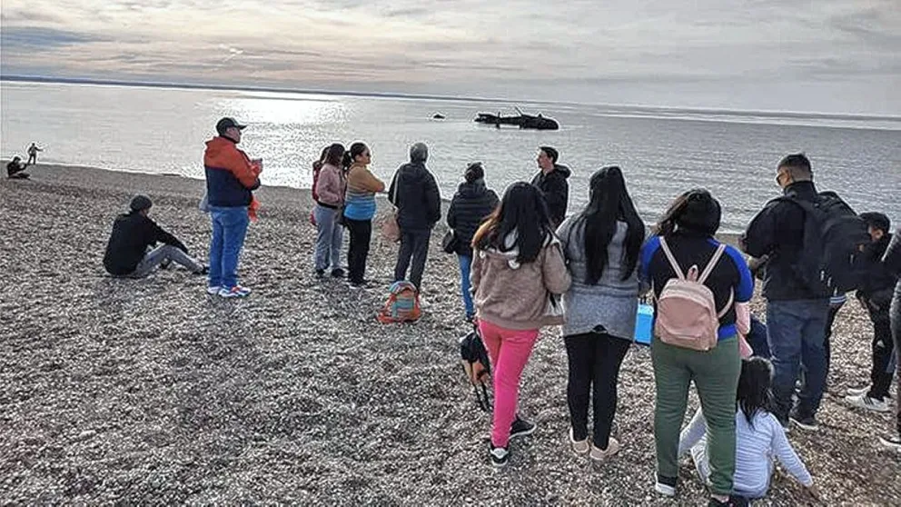 Vacaciones de invierno en Madryn: habrá recorridos peatonales de naufragios, historia marítima y buceo