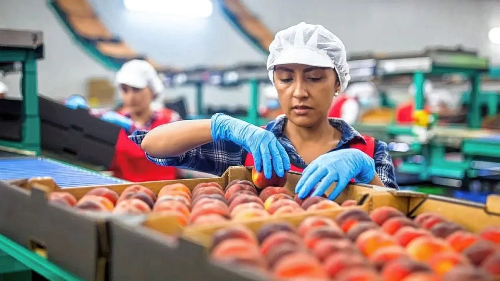 Pymes: Preocupación por la inflación en alimentos y productos de primera necesidad