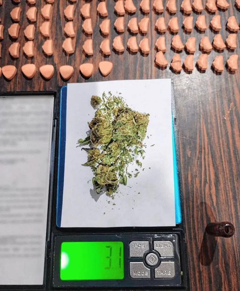 Venía a Comodoro con 992 pastillas de éxtasis y otras drogas y lo detuvieron en Río Negro