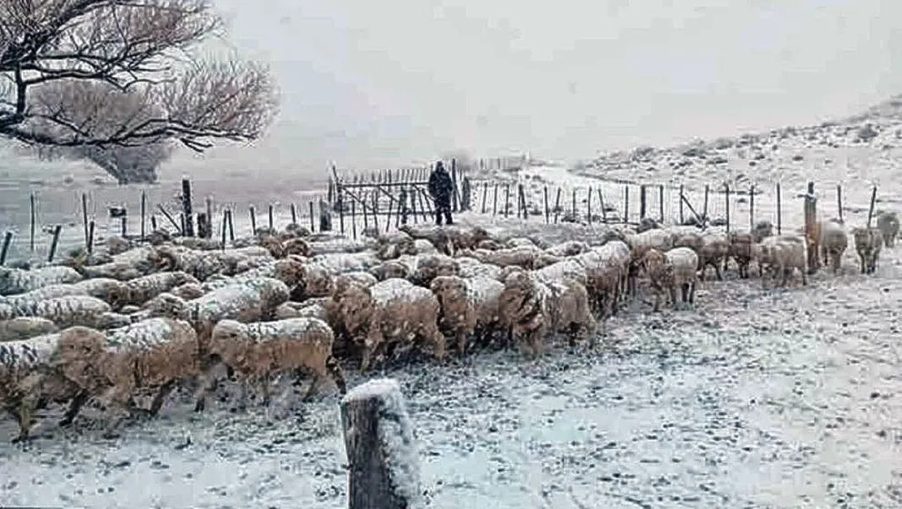 El Gobierno Nacional destinará $1.300 millones para asistir a las provincias patagónicas afectadas por las tormentas de nieve