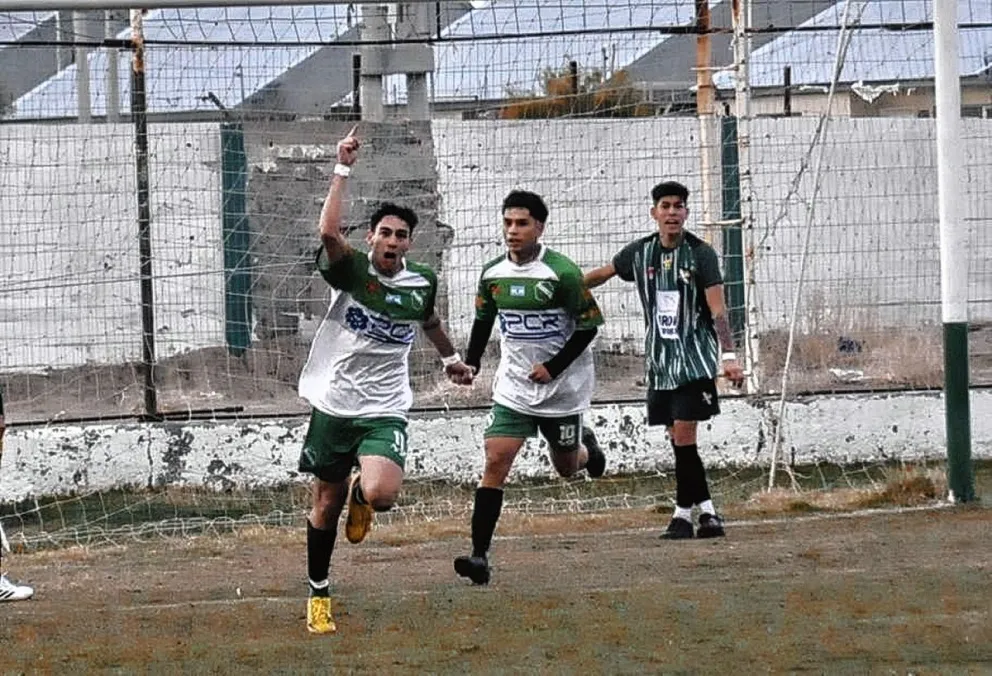 Petroquímica, pragmático y contundente