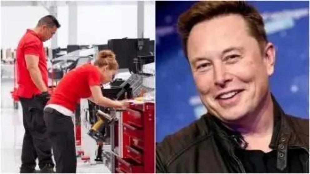 La empresa de Elon Musk busca empleados argentinos y paga una increíble suma en dólares: ¿Cuáles son los requisitos?