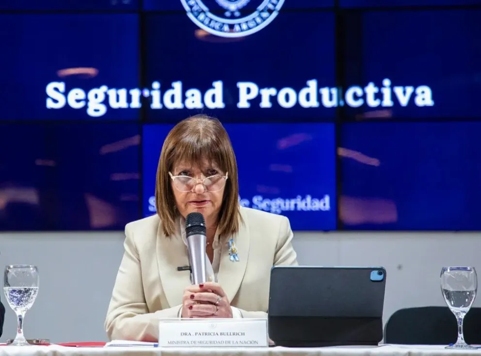 Patricia Bullrich sobre la visita de legisladores libertarios a Astiz: “Fue una decisión personal y cada uno debe hacerse cargo”