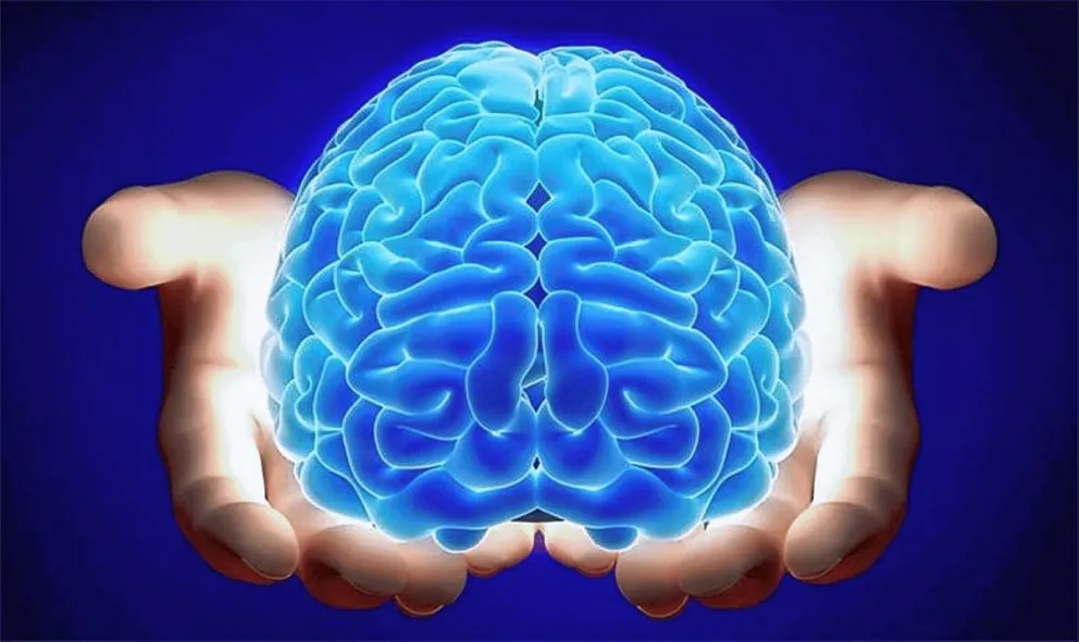 Día Mundial del Cerebro