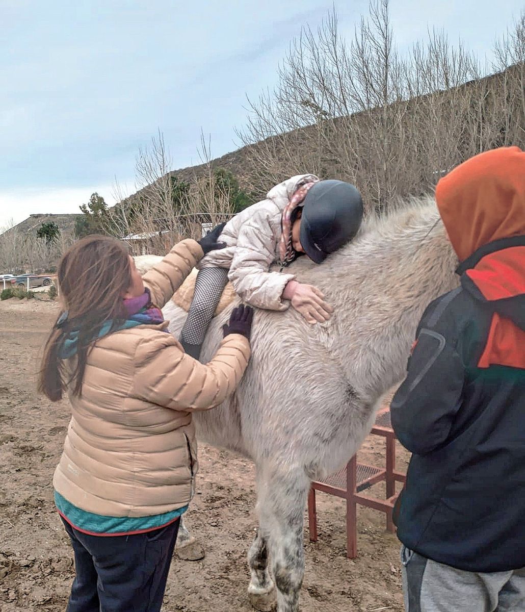 Buscan regular la Terapia Asistida con Caballos en la ciudad