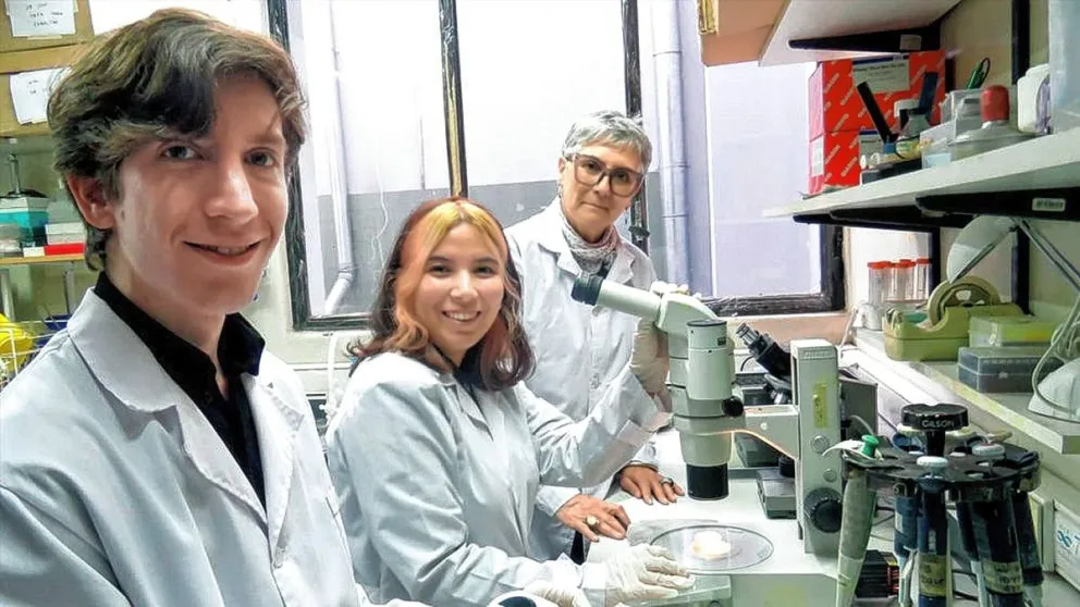 Comprueban que las olas de calor reducen la fertilidad masculina