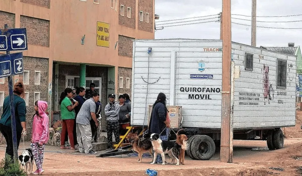 Reiteran la necesidad de reinstalar dos tráileres de castración ante la superpoblación de perros en Comodoro
