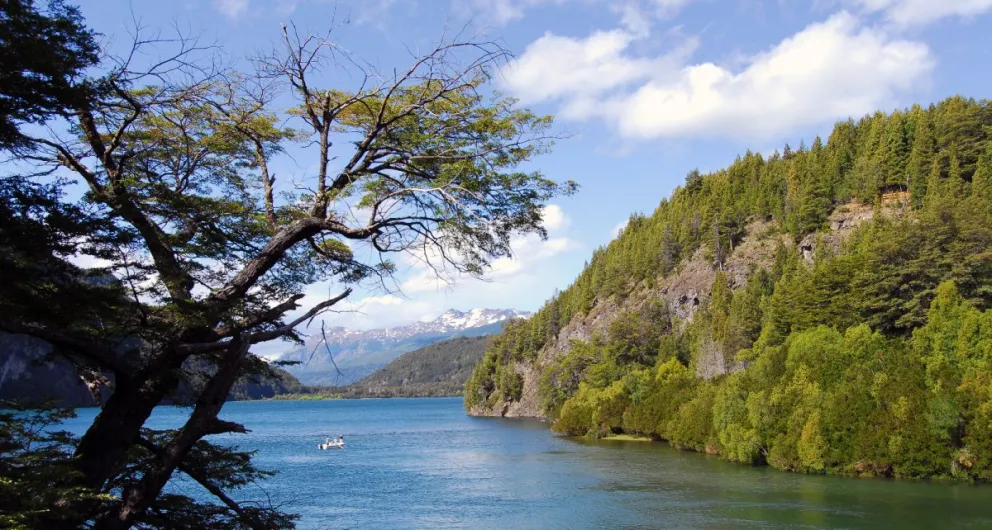 Chubut se convierte en la primera provincia argentina signataria de la Declaración de Glasgow