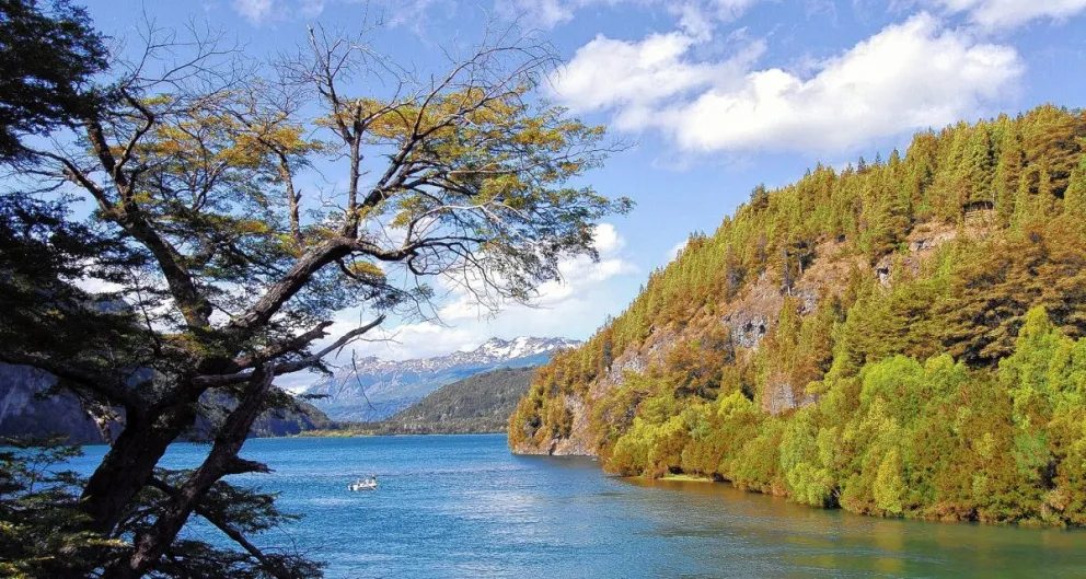 Chubut se convierte en la primera provincia argentina signataria de la Declaración de Glasgow