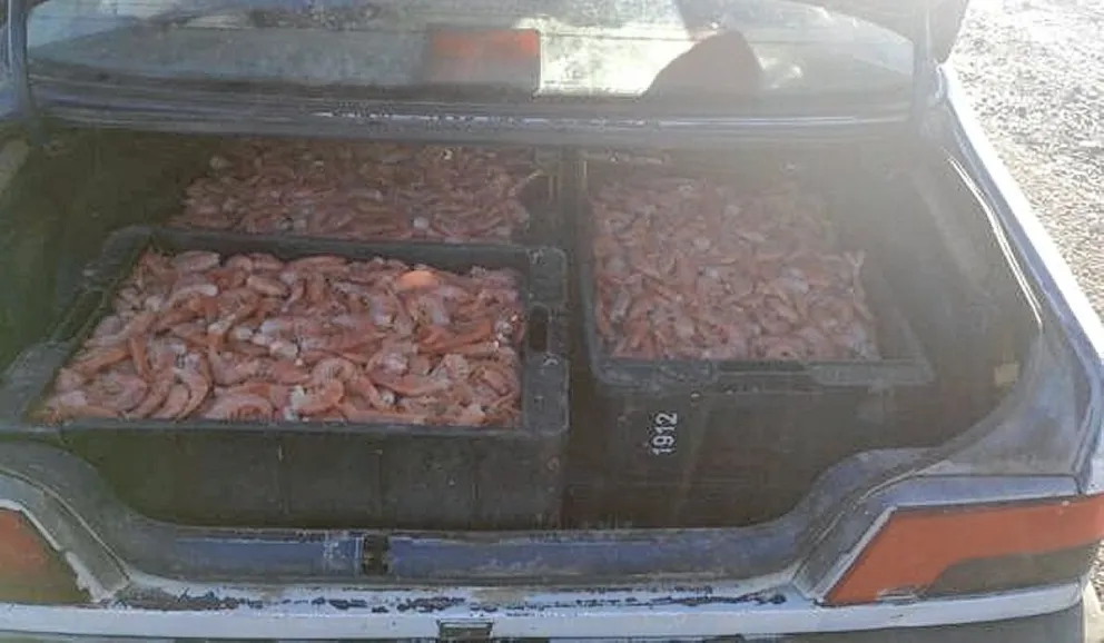 Detienen a joven violento con 300 kilos de langostinos y sin documentos de su auto