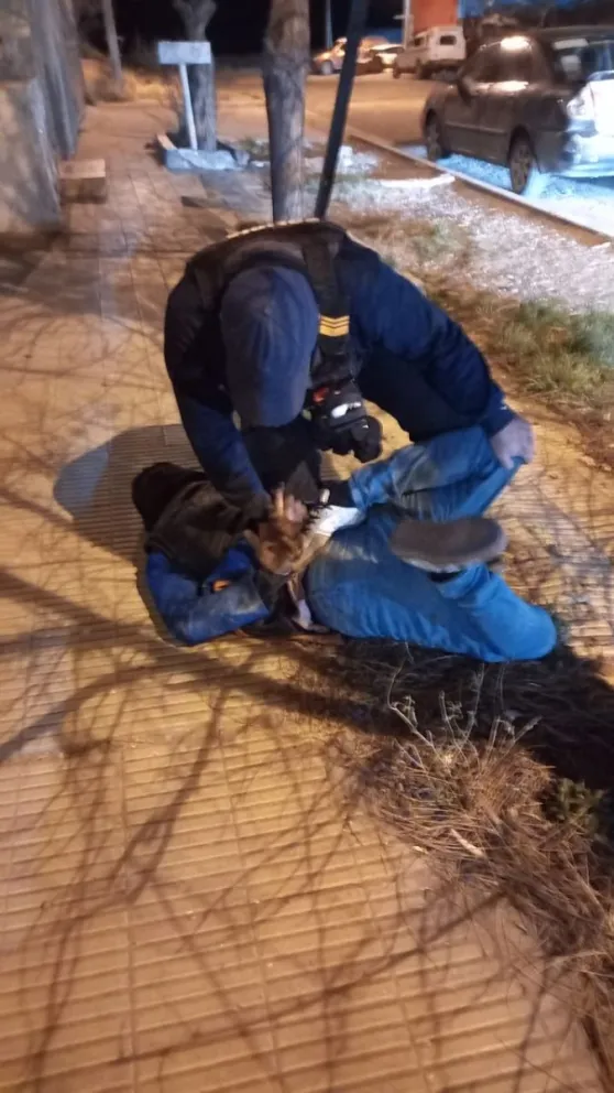 Un detenido por intentar robar en una distribuidora