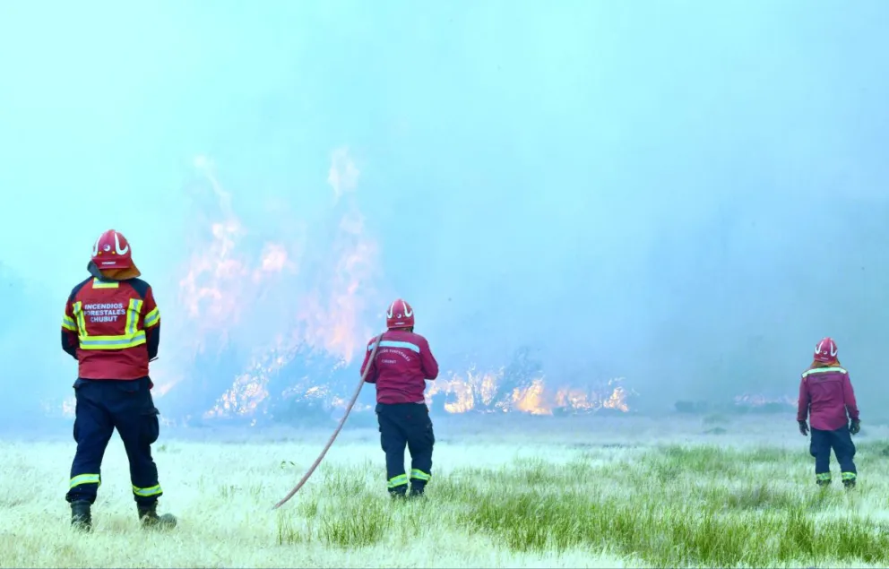 Provincia realiza en Esquel un curso de posgrado sobre valoración de recursos naturales afectados por el fuego