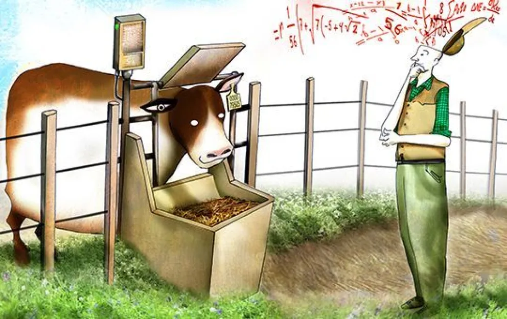 Anuncio de baja de retenciones: los riesgos de discriminar entre vacas y novillos