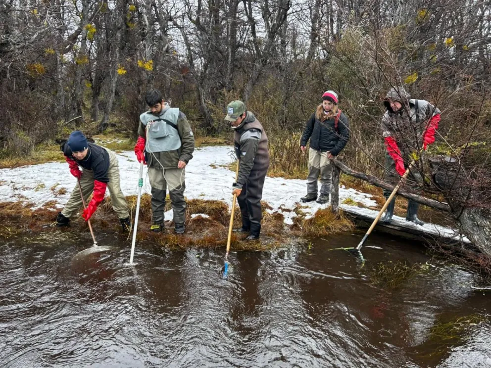 Provincia realiza campaña de desove en ambientes acuáticos de la cordillera