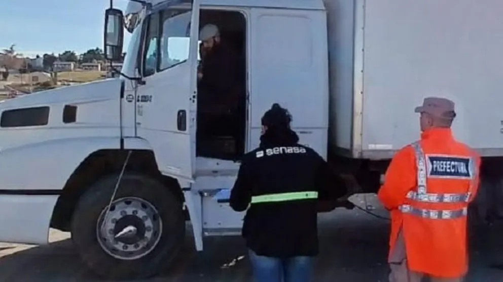 Control a más de 1,5 ton de langostinos descargados en Puerto Camarones