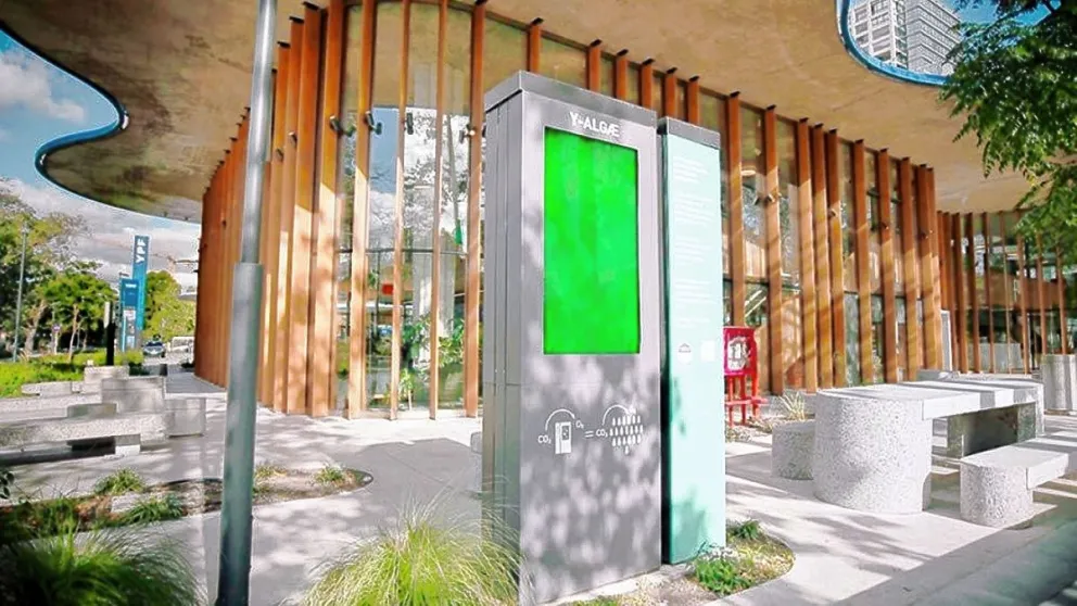 Una empresa del CONICET y de YPF desarrolla dispositivos que purifican el aire atmosférico en base a microalgas